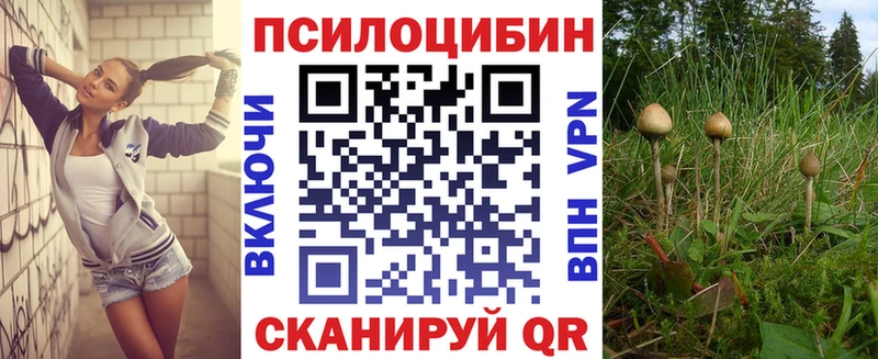 Купить закладки  Советск  Псилоцибиновые грибы Magic Shrooms 